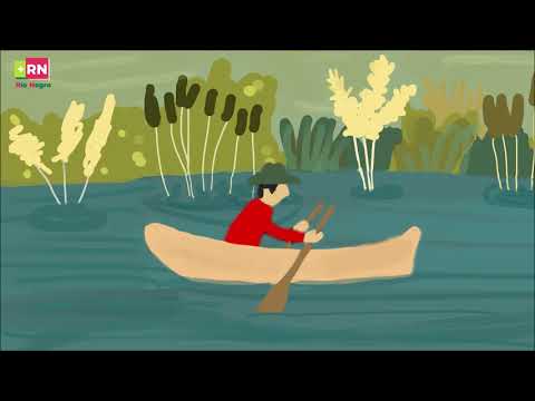 +RN | Paisajes Sonoros - Flora