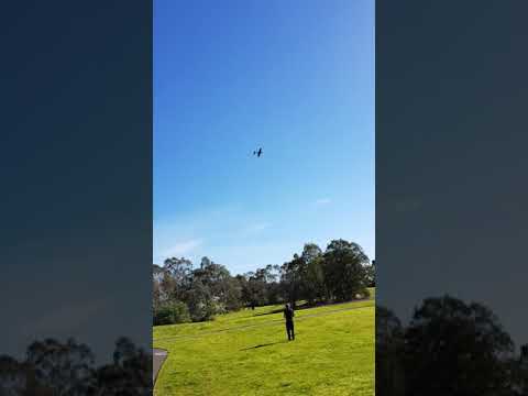 The PLA Moose first flight. 3d printed R/C plane.