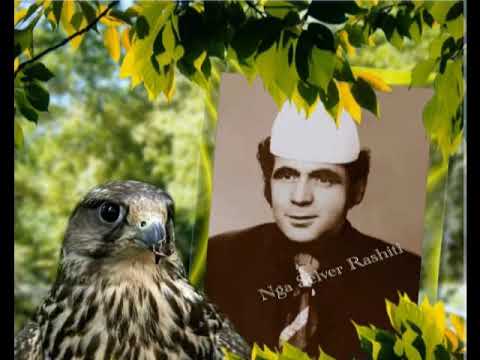 AUGUSTIN UKAJ "Mbreti i Folklorit"Kenga e Dem Ahmetit, Historia e se ciles eshte e dhimshme per nje