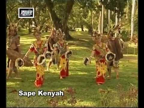 Sape Kenyah(Kenyah)