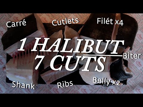 1 KVEITE, 7 CUTS - Annis Oslobukta