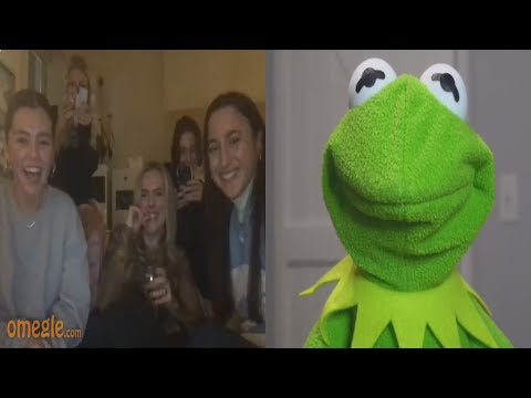 The best of Kermit on Omegle (so far)