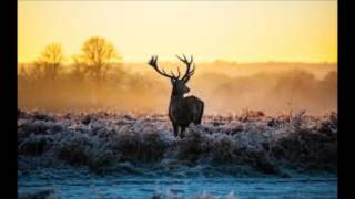 Morning Sun - Melodie Gardot