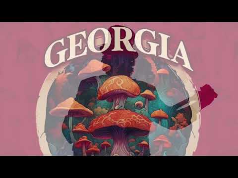 "Love Song" (live) performed by Banjoe Steve NoBS Band at Georgia Mushroom fest