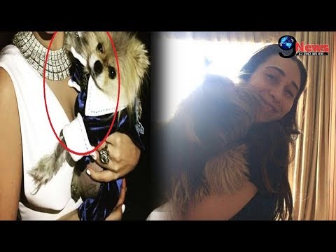 Karishma Spotted with Dog