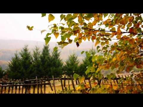 TUSA SALAJ  PLACE OF DREAM'S  HD by Stefy Nagy