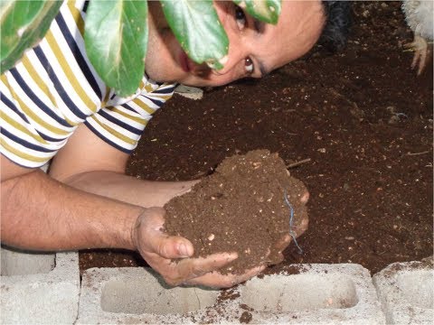 TIERRA NEGRA HAZLA TU MISMO ES FACIL AHORRATE MUCHO DINERO