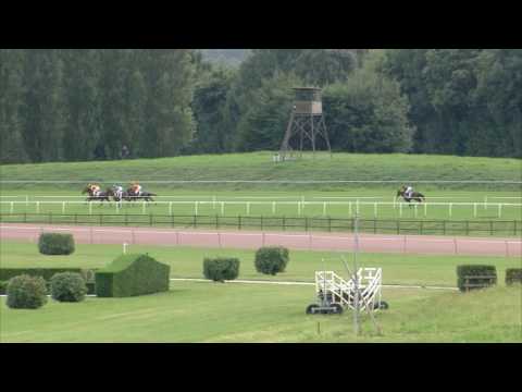 Avenches/10.07.2017/Poneys D.
