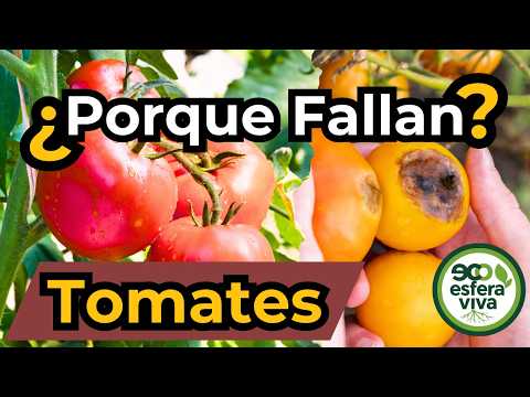Tomato Growing Fails? Watch This Before You Plant!