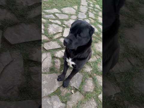 В роддом пришел, на выписку. Цветы потерял…🤣