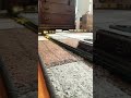 Trains Train Circus Modeltrains Locomotive Entertainment
