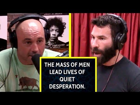 Most Men Lead Lives Of Quiet Desperation - Dan Bilzerian