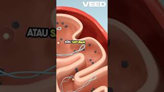 Download lagu Kenapa Ada yang Kebal Rasa Pahit #faktaunik #ajaib #facts #faktamenarik #beritaterkini mp3
