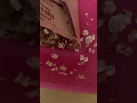 Quaker Oats - Bugs in my child’s food