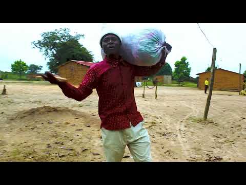 Radioso Kussema Tchaxi