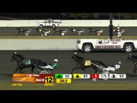Breeders Crown Elimination - Wild Honey - November 14, 2014