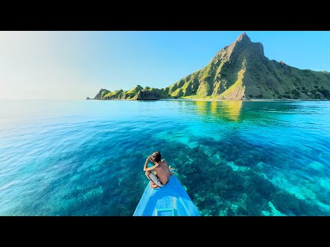 Surviving a Tropical Island With Giant Fish and Wild Encounters!