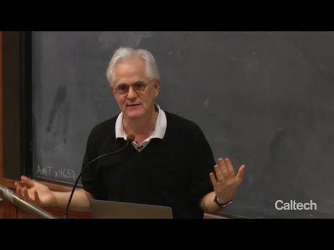 Toward a Normative Account of the Capacity Constraints in Cognitive Control - J. Cohen - 11/08/18