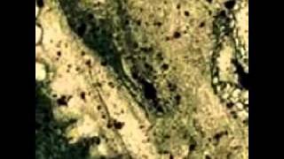 King Conquer - Master Destroyer