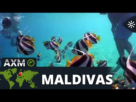 Andalucía X el mundo | Carlos Piñero, chef marbellí, hace el ronqueo gaditano del atún en Maldivas