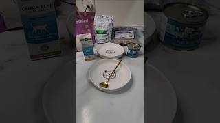 Feed my cats 🍽 #asmr #asmrcat #catshorts #cat #catfood #catfeeding #cateating #foryou #cute #youtube