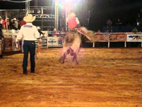 CLAUDEMIR DOS SANTOS vs DESATINO