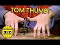 TOM THUMB EVERYTHING IS TERRIBLE