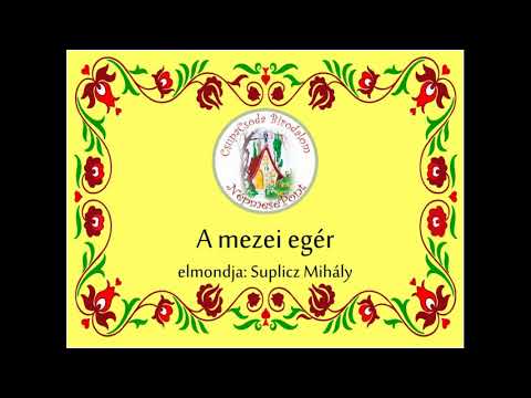 134 A mezei egér