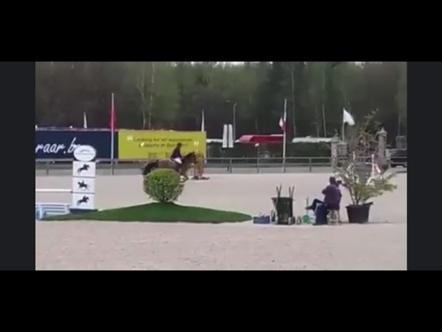 Dam of Good Looking Girl Z