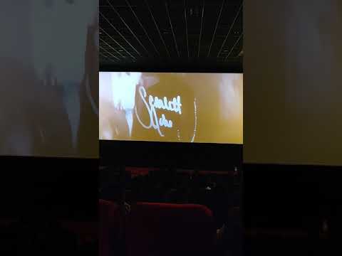 Avengers Endgame Credits Theatres reaction watch till end