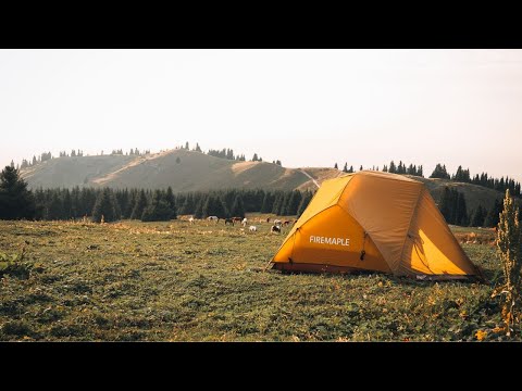 відео мініатюра 23