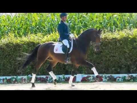 37 Less Dangerous  Wallach v. Lord Fantastic - Dolany