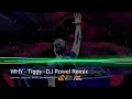 WHY - Tiggy (DJ Rowel Remix) | Bản Nhạc Huyền Thoại | 90's Disco Hits Philippines Party Mix