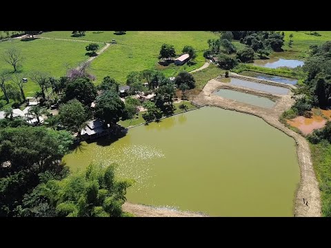 Chacara 8 alqueires de alto padrão em Pedrolina de Goiás R$ 4.900.000,00 aceita imóvel na negociação