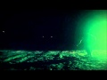 Electric President - The Violent Blue (Official Music ...