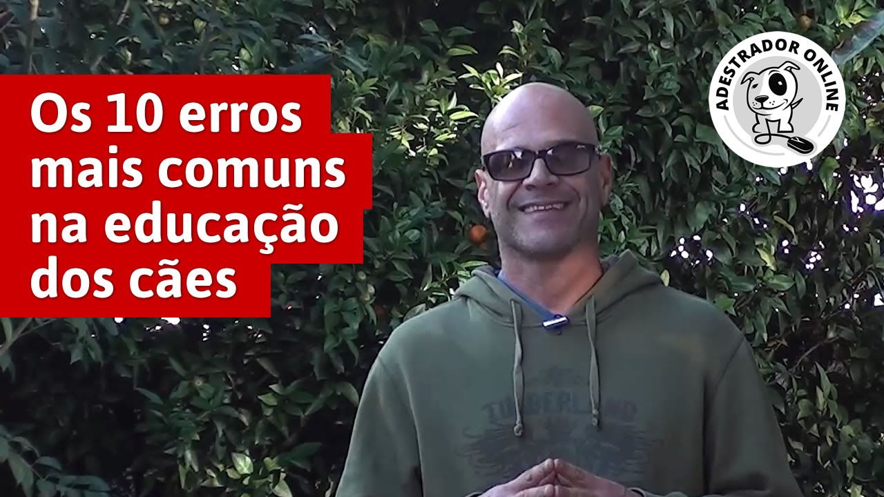 Os 10 erros mais comuns na educação dos cães.