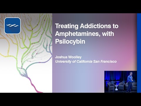 Treating Addictions to Amphetamines, with Psilocybin
