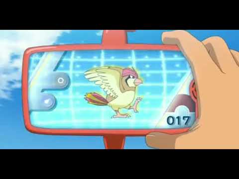 Pidgeot Pokémon|| Pokédex Data ||