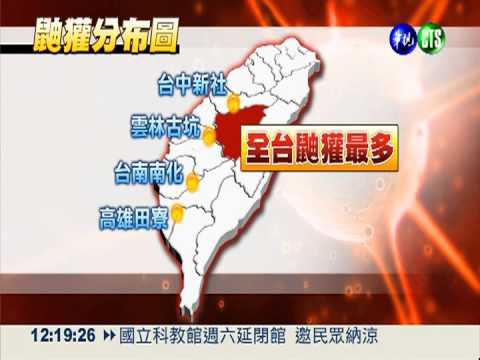 狂犬鼬獾太近人群 學者:不尋常