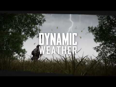 Dynamic Weather / PUBG Mobile / 2019