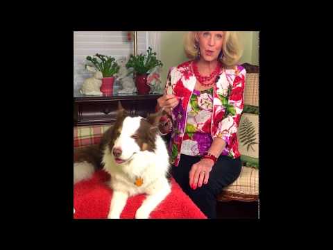 343 Common Sense.  What is common sense soul contract, Karma, spirit wisdom