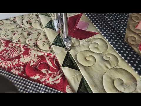 Custom Quilting Borders Free Motion Longarm Quilting Q24 Bernina Feathers Swirls and more