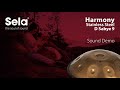 Sela 213 Harmony Handpan D Sabye Acier Inoxydable thumbnail 11