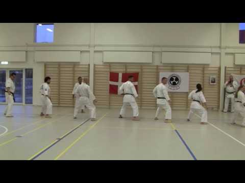 JOSHINKAN ISSHINRYU KARATE KOBUDO ASSOCIATION 5/6 - Training Seiunchin Kata
