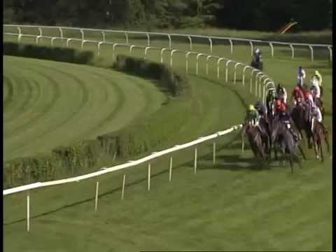 1. Grosser Preis der Gesundheitswirtschaft - BBAG Auktionsrennen 25.05.2014 - Rennbahn Hoppegarten