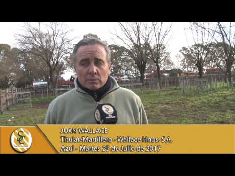 Nota Juan Wallace - Wallace Hnos. S.A. - Azul