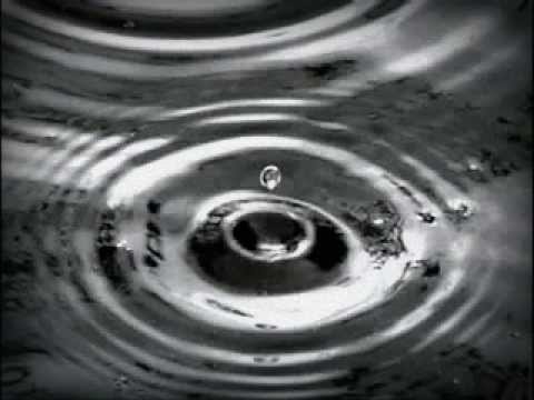 24 Preludes, Op. 28: No. 15 in D-flat Major, "Raindrop"
