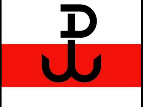 Baniotletyka ( Rado/Cezar/Emoha ) - Nie wychodzę * prod. EST