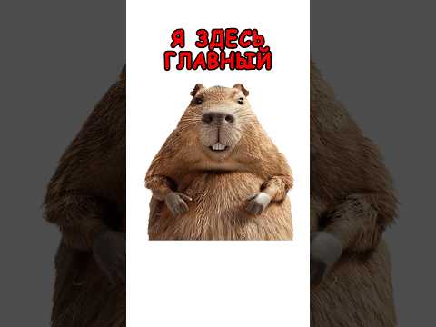 Скример