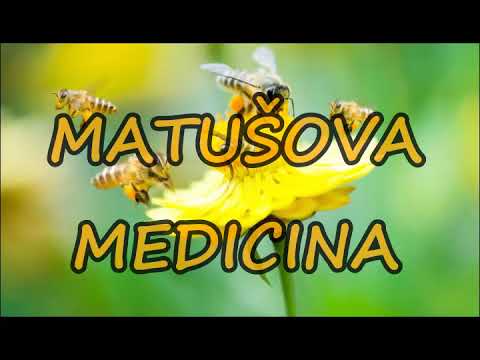 Daniel Piter-Bučko - Matušova medicina /2022 (lyrics)